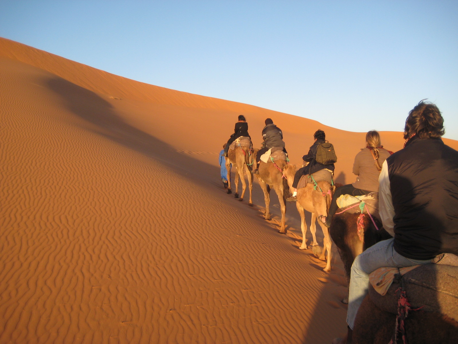 Desert Safari